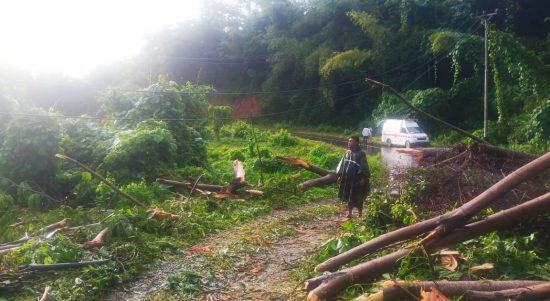 Lokasi pohon roboh setelah dilakukan pembersihan oleh personel PLN Sanana