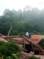 KONDISI jembatan air Kilong, di Desa Kilong Kecamatan Taliabu Barat, Pulau Taliabu sudah mulai rusak
