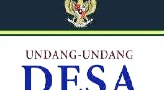 buku undang-undang desa