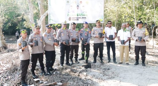 PERSONEL Polres Kepulauan Sula melaksanakan program penanaman pohon mangrove di desa mangega, kecamatan Sanana, Rabu (15/11/2023)