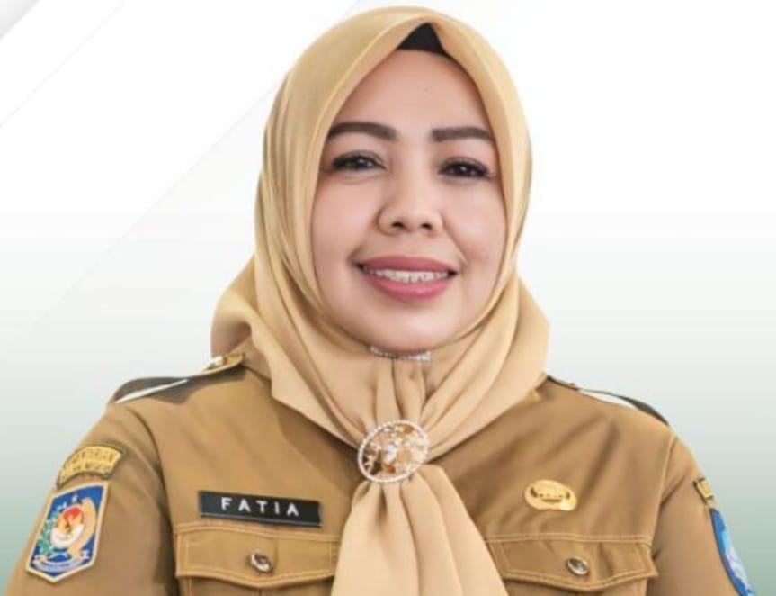 KEPALA Dinas Kesehatan Kota Ternate, dr. Fathiyah Suma.