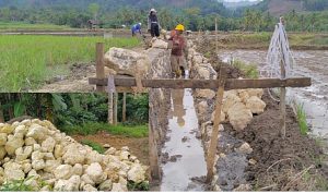 ILUSTRASI pekerjaan bendungan irigasi menggunakan batu kapur