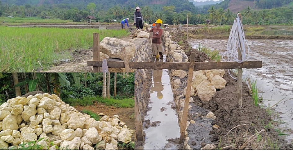 ILUSTRASI pekerjaan bendungan irigasi menggunakan batu kapur