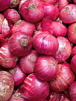 BAWANG merah BAWANG merah