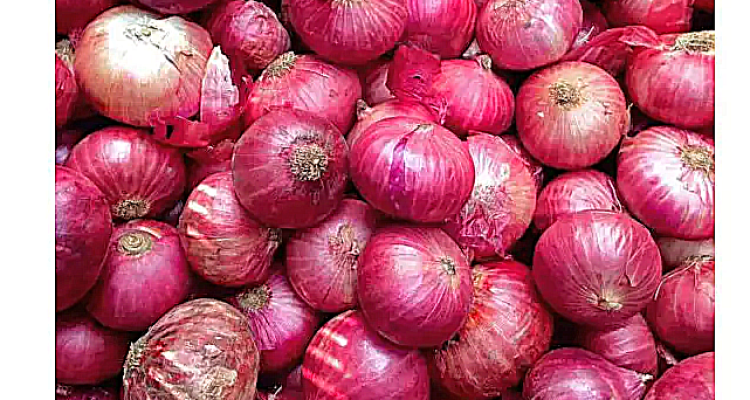 BAWANG merah BAWANG merah