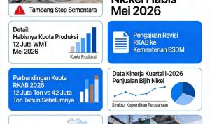 INFOGRAFIS data produksi weda by nikel