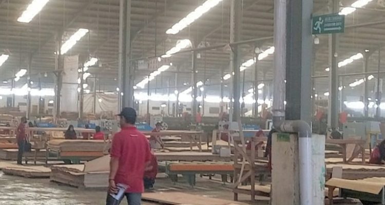 AKTIVITAS perusahaan PT. SGM di Desa Falabisahaya, Kecamatan Mangoli Utara, Kabupaten Kepulauan Sula