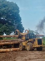 BUKTI kayu yang diambil perusahaan yang diduga milik Teki